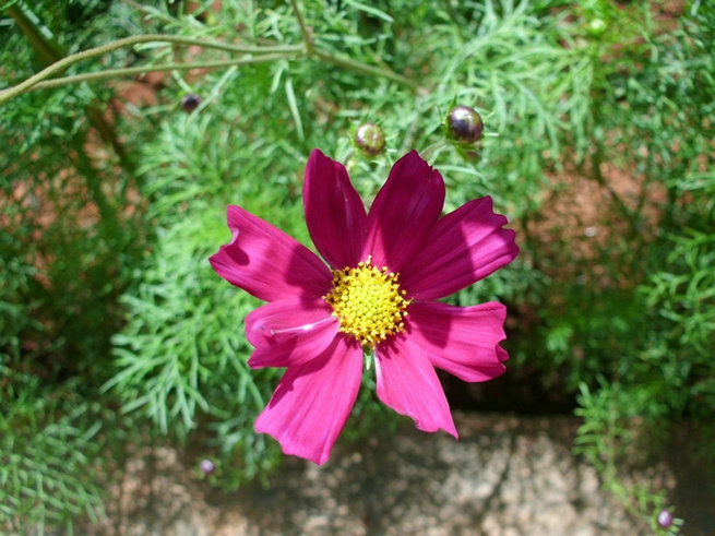 CIMG0338.jpg