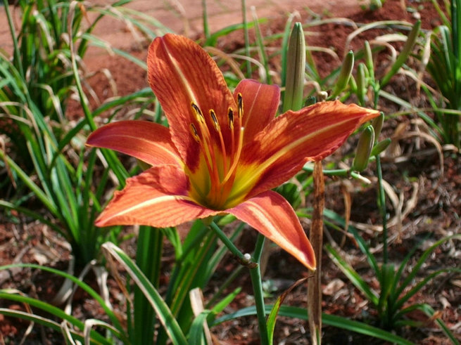 CIMG0840.jpg