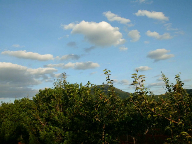 CIMG0473.jpg