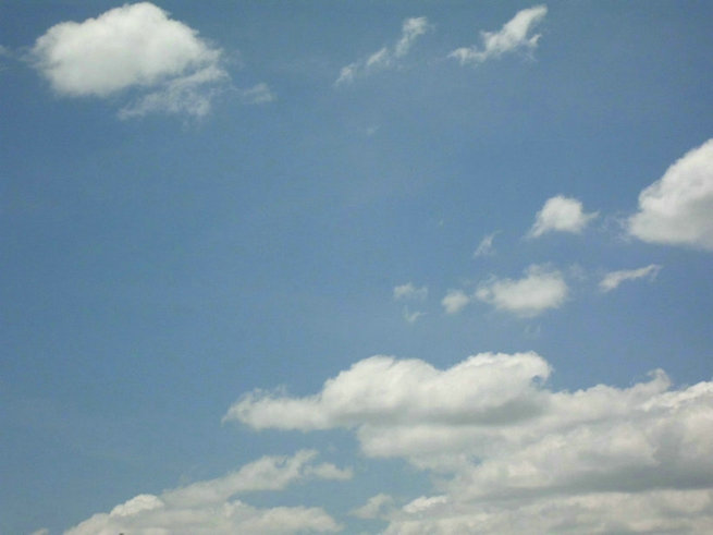 CIMG0326.jpg
