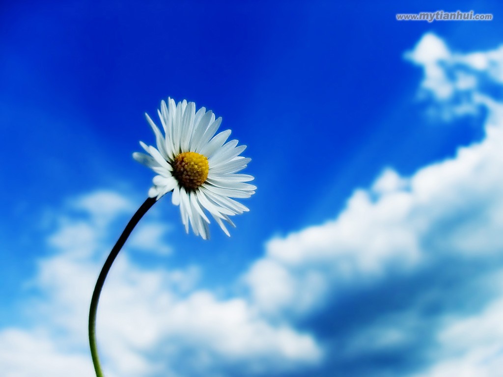 a3e4d3f55aa20f4408244d3a.jpg