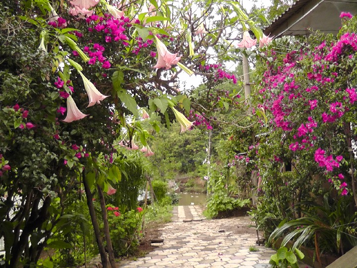 S1520102.JPG