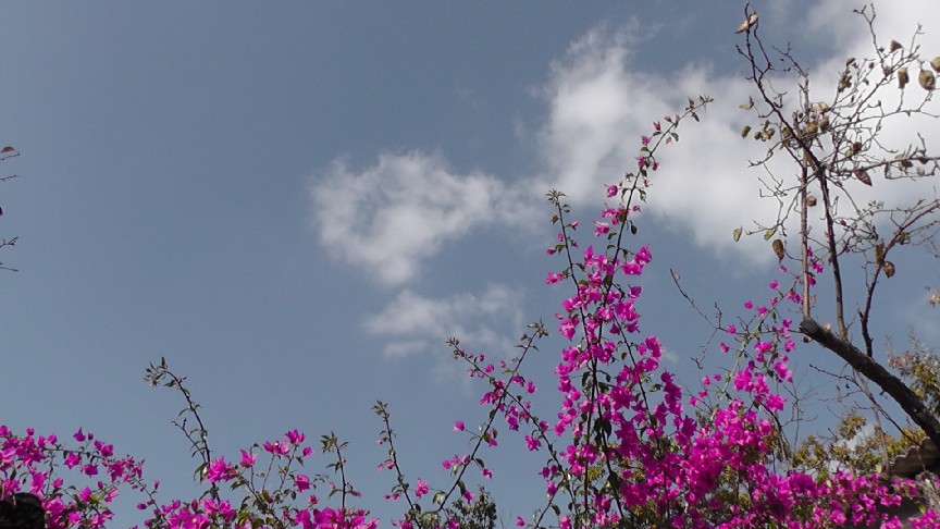 S1550192.JPG
