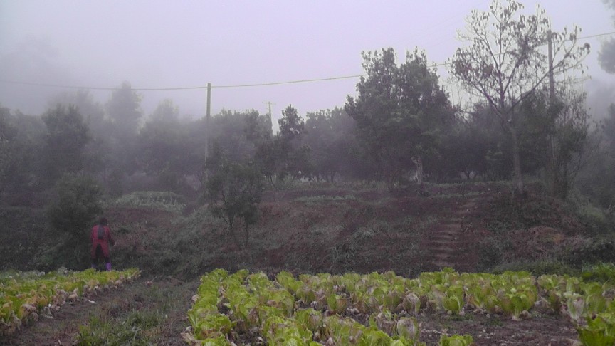 S1550022.JPG