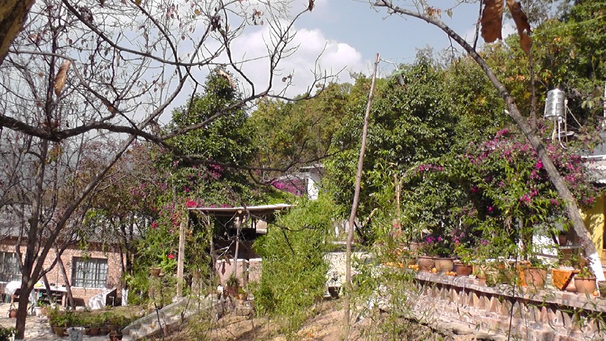 S1550080.JPG