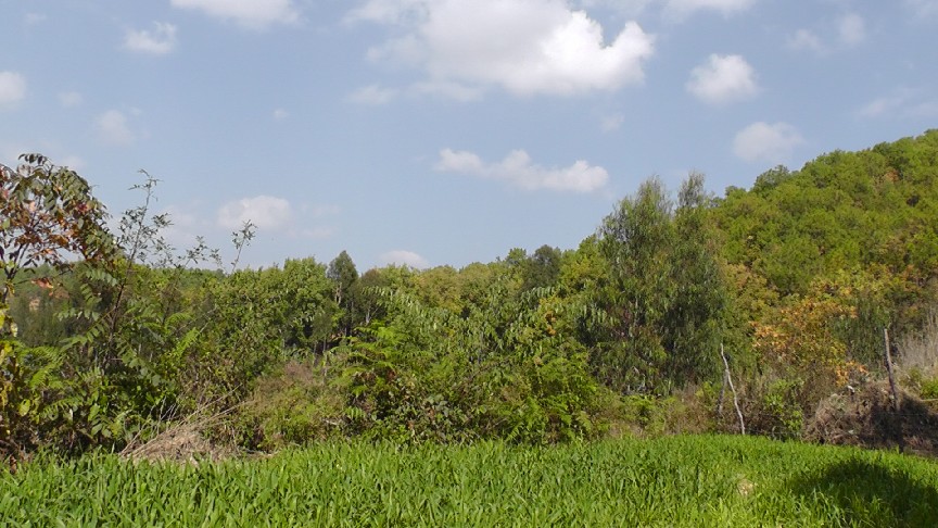 S1550155.JPG