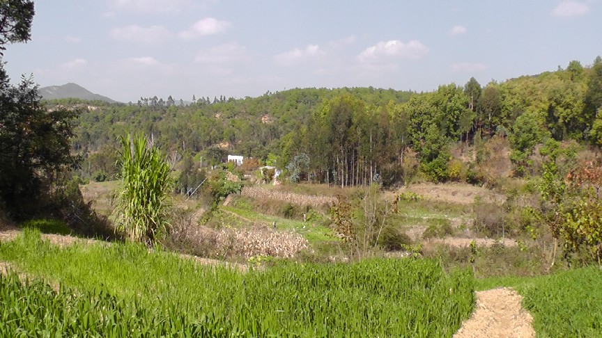 S1550167.JPG