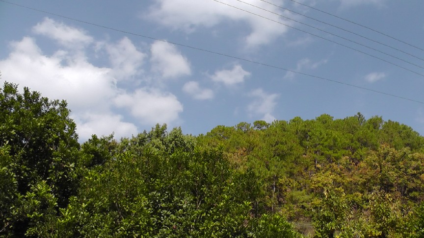 S1550176.JPG