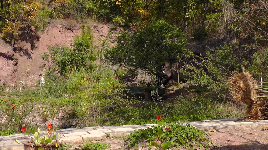 S1550180.JPG