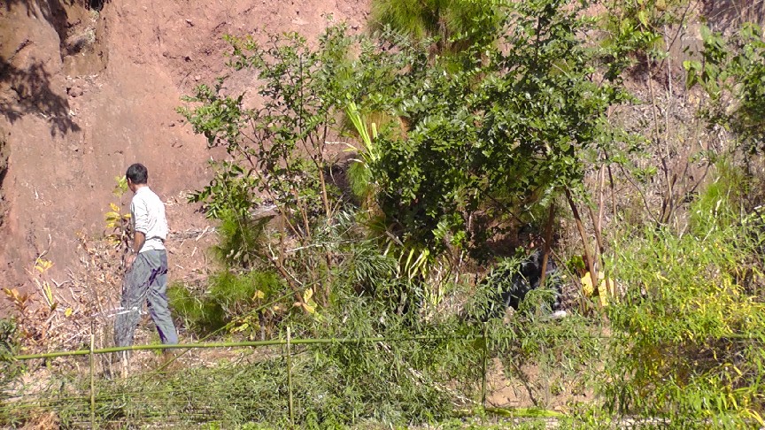 S1550183.JPG