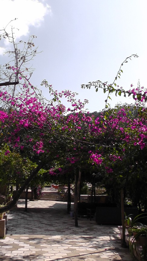 S1550189.JPG