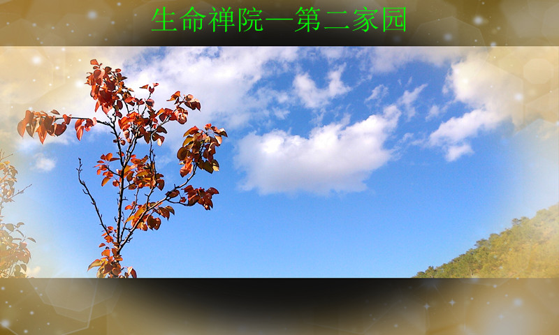 img1116164400_.jpg
