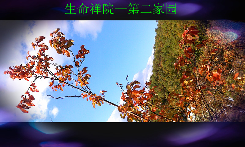 img1116164401_.jpg