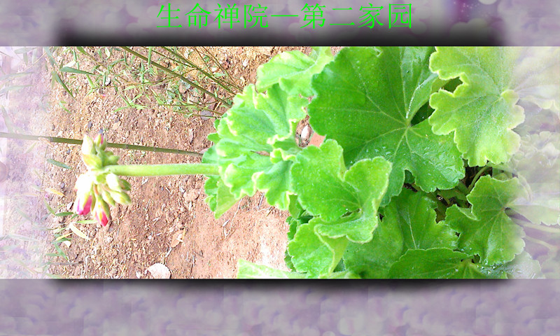 img1122100500_.jpg
