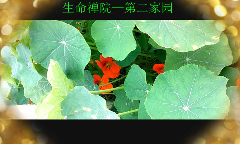 img1129122400_.jpg