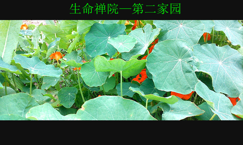 img1129122402_.jpg