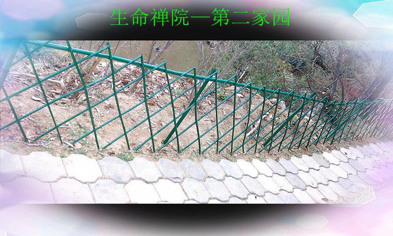 img1129122500_ת_.jpg