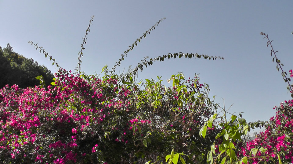 S1560032.JPG