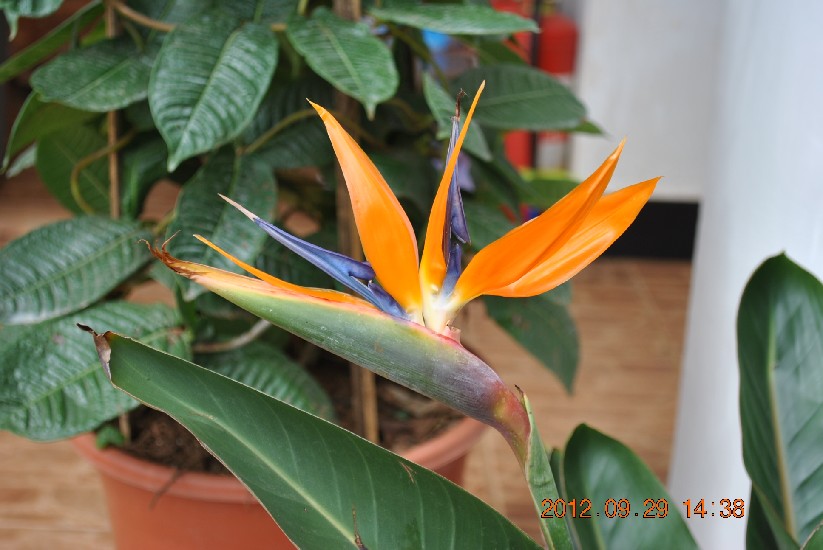 09.jpg