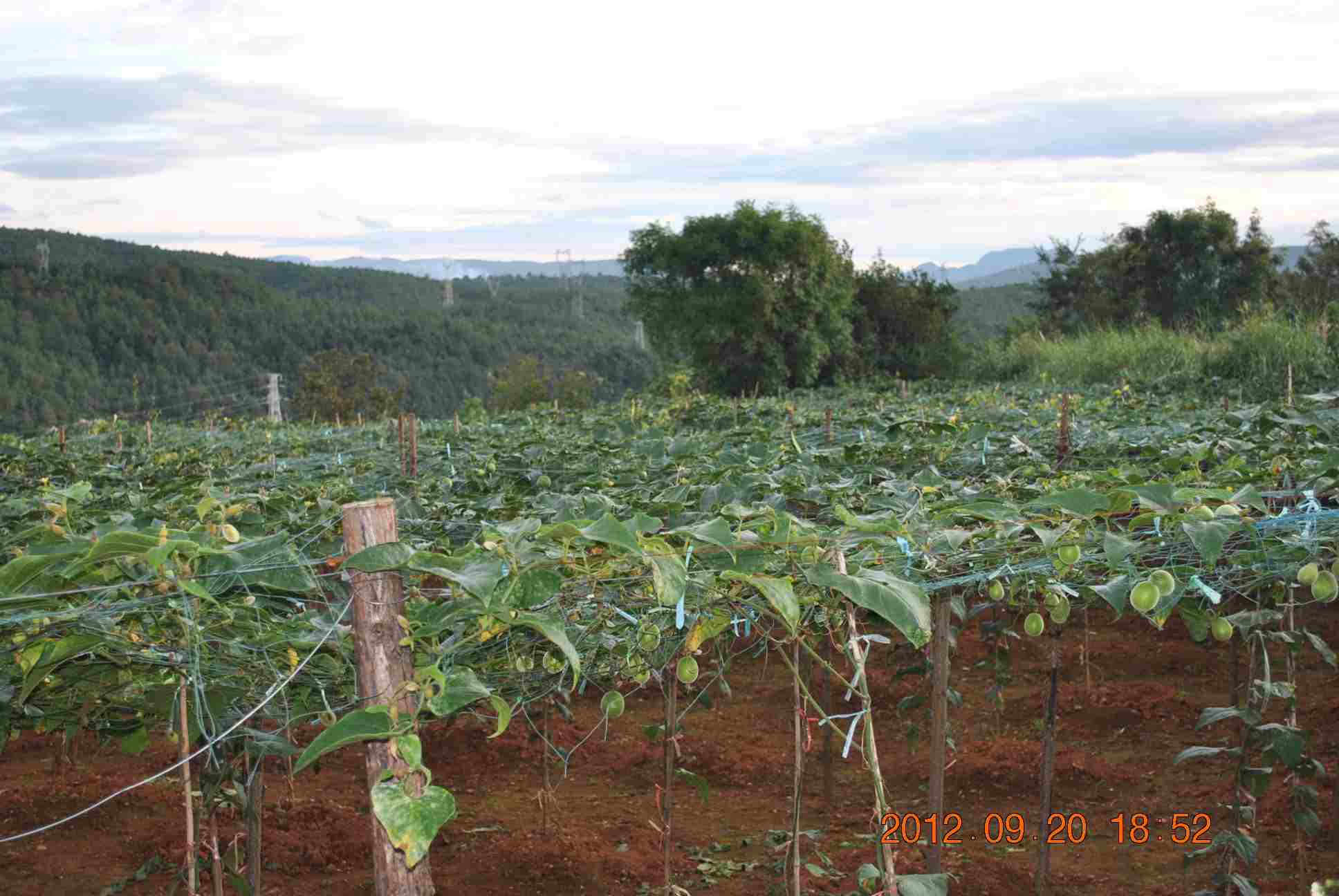 07.jpg