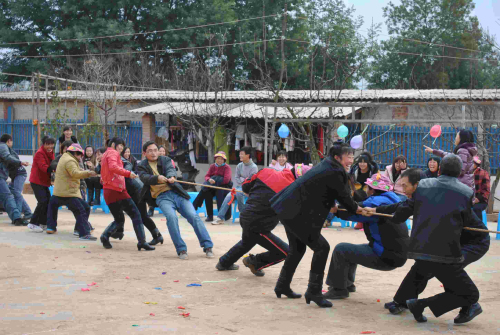 15.jpg