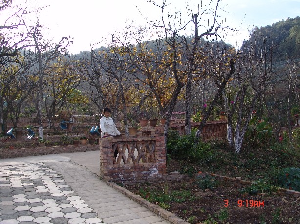19.jpg