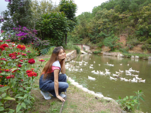 09.jpg