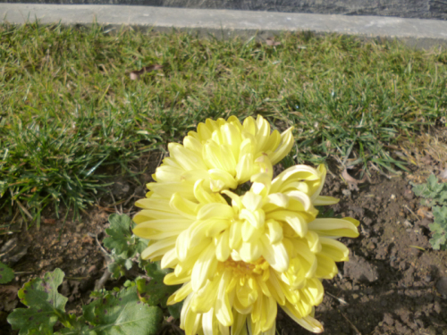 09.jpg