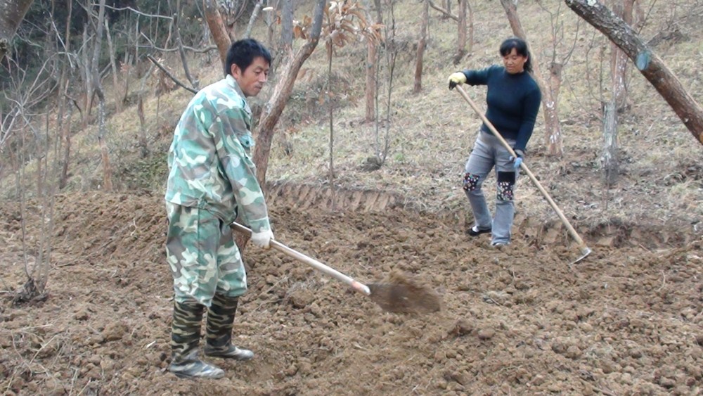 07.jpg