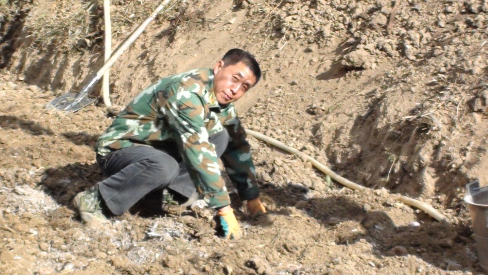 19.jpg