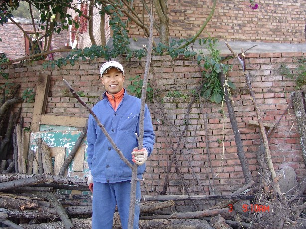 05.jpg