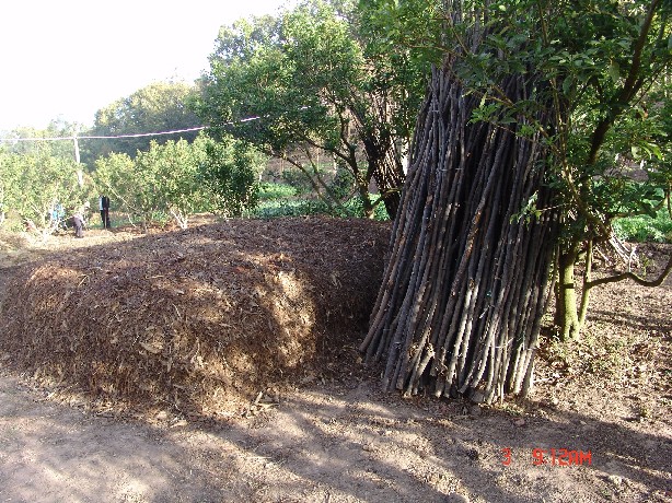 09.jpg