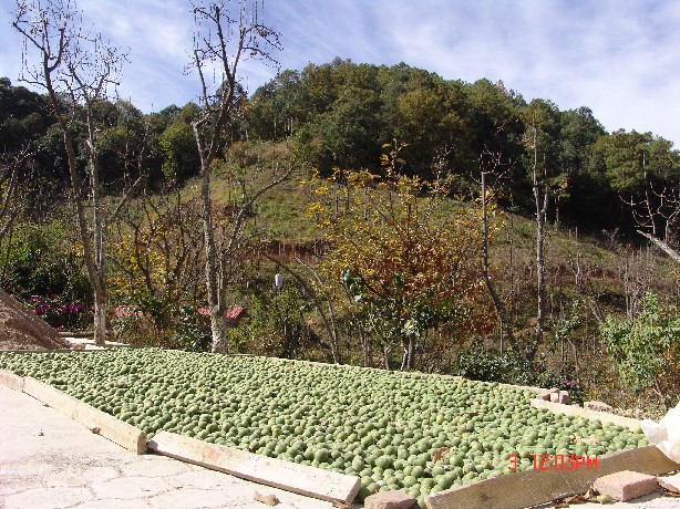 68.jpg