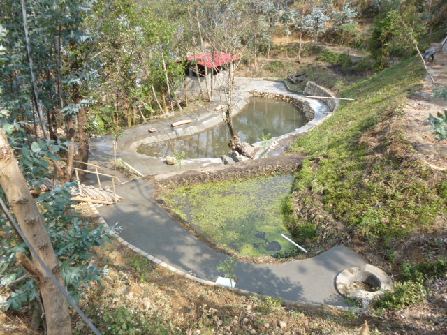 77.jpg