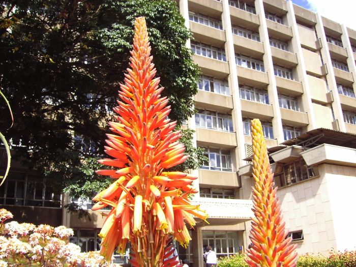 DSCI0003.JPG