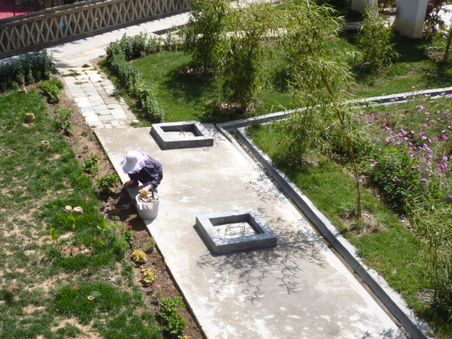 112.jpg