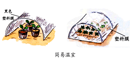 6.png