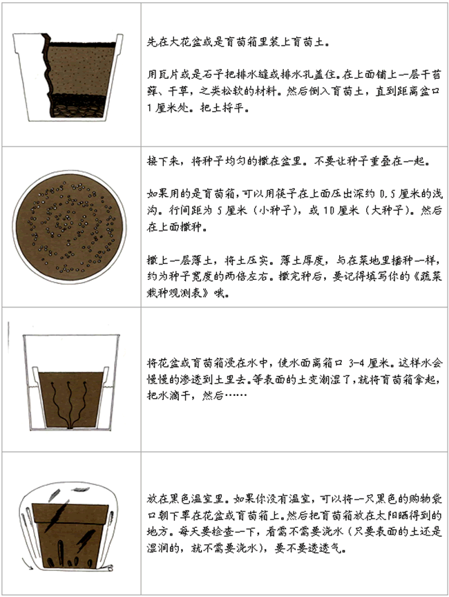 7.png