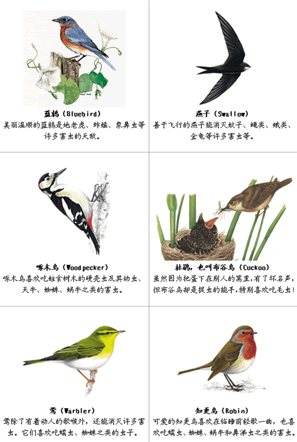 0.png