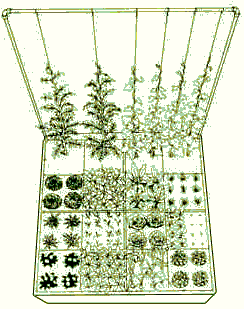 4.gif