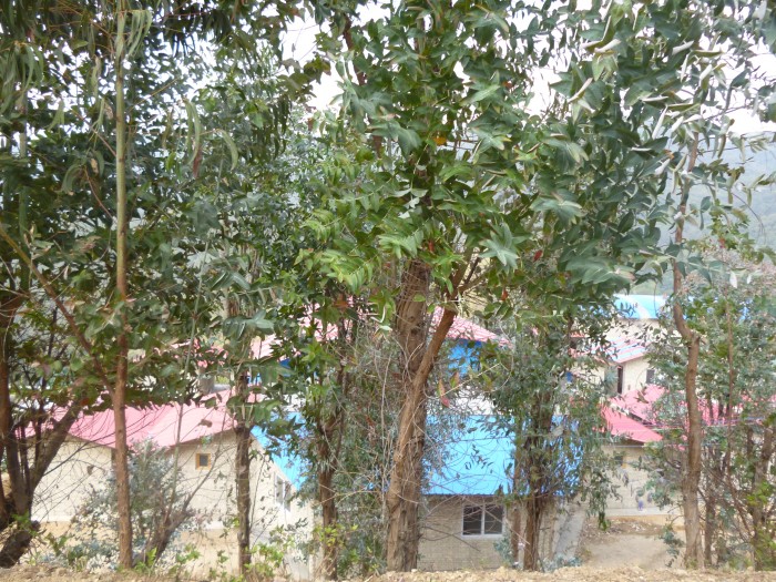 59.jpg