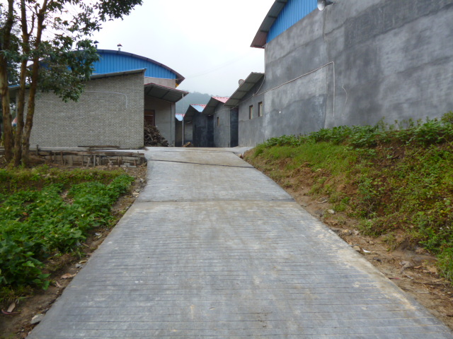 25.jpg
