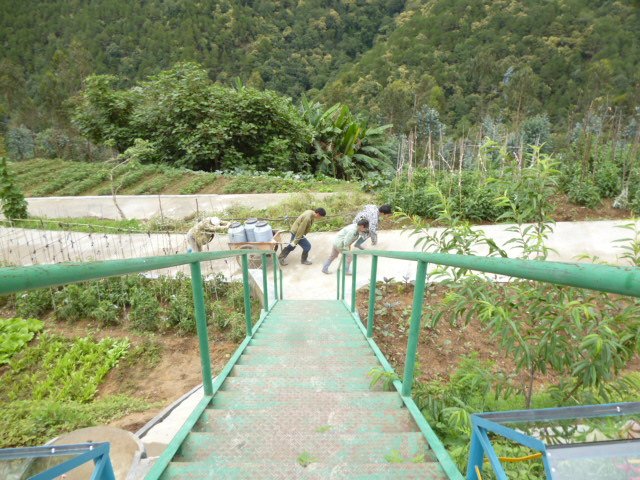 98.jpg