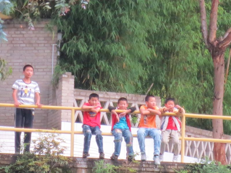2.jpg