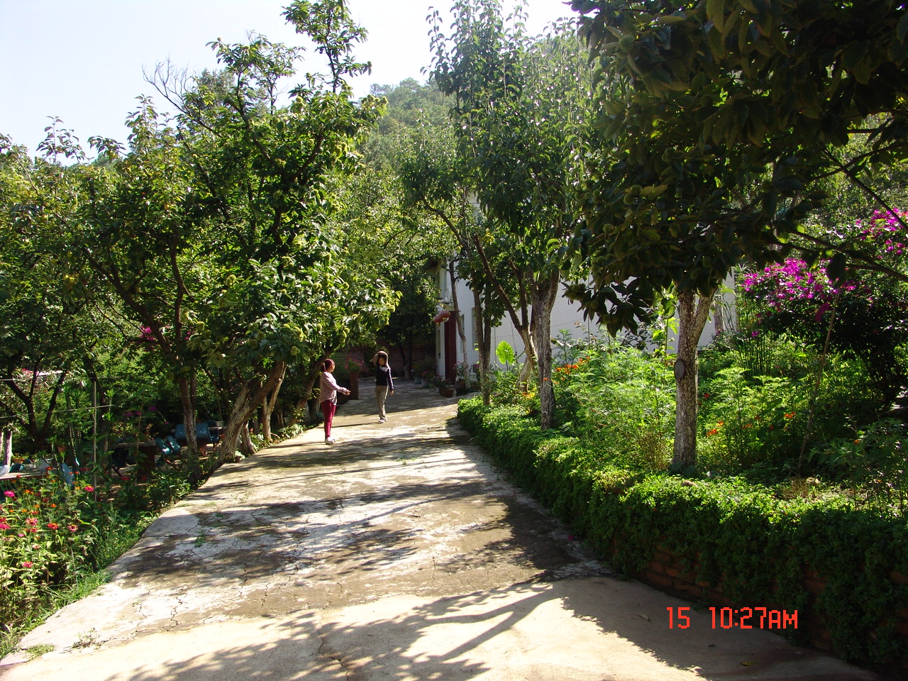 59.jpg