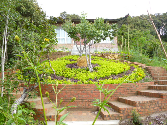 97.jpg