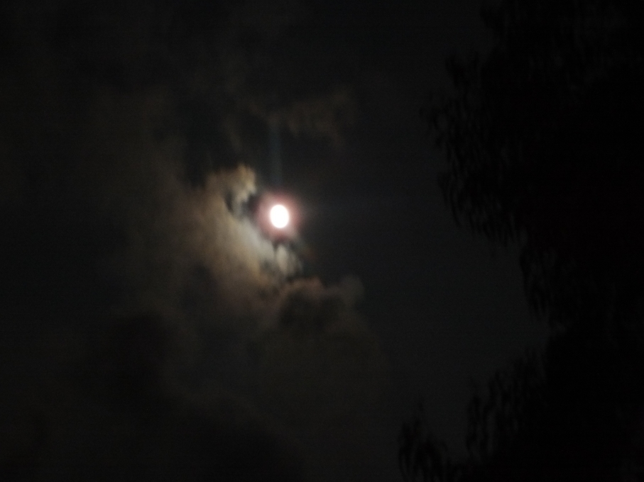 DSCF4147.JPG