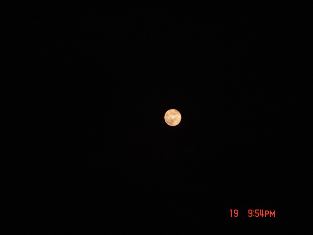 54.jpg