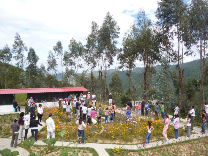 106.jpg