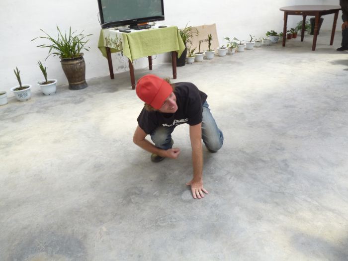 175.jpg